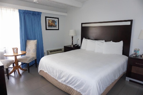 Hollywood Gateway Inn image 4