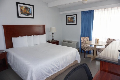 Hollywood Gateway Inn image 7